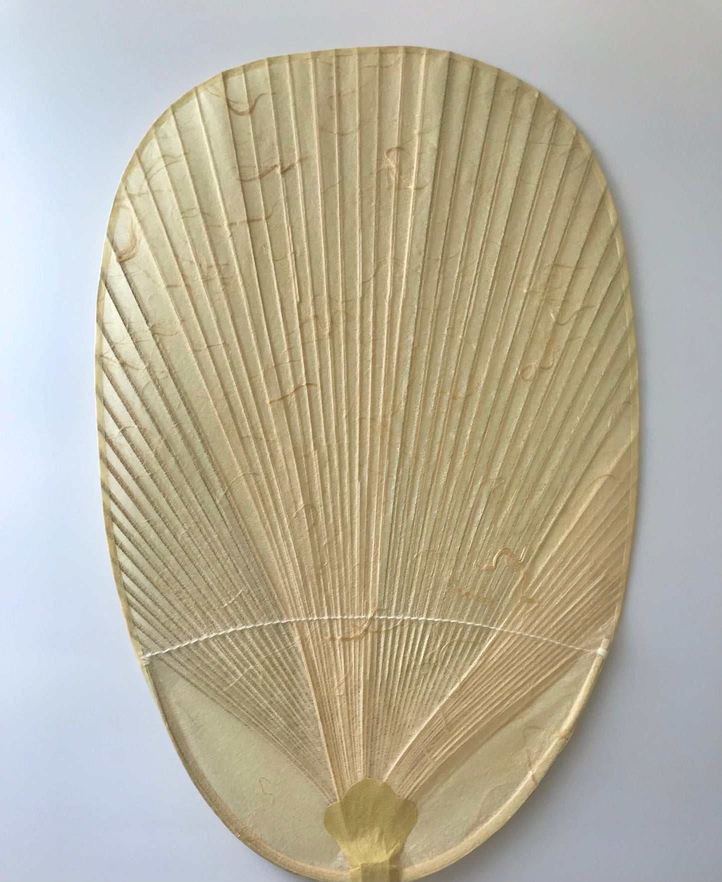 Marugame Uchiwa Traditional Artisan by Junko Mitani × Tosa Washi × MUSUHI ART/Dragon Soaring Through The Clouds (Gold) #MU-2